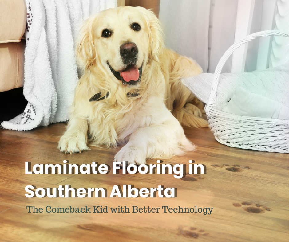 Laminate Flooring: The Comeback Kid with Better Technology