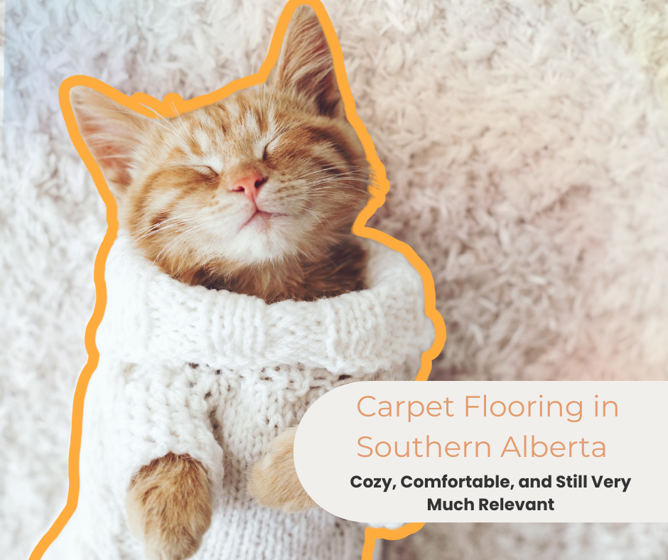 Carpet Flooring in Southern Alberta: Cozy, Comfortable, and Still Very Much Relevant