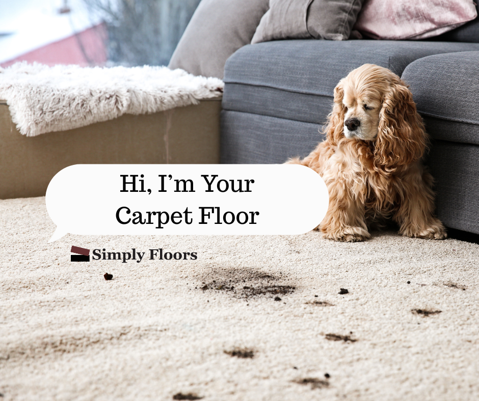 I’m Your Carpet Floor — And I Know Exactly Where You Walk Barefoot