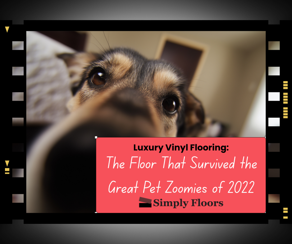 Luxury Vinyl Flooring: The Floor That Survived the Great Pet Zoomies of 2022