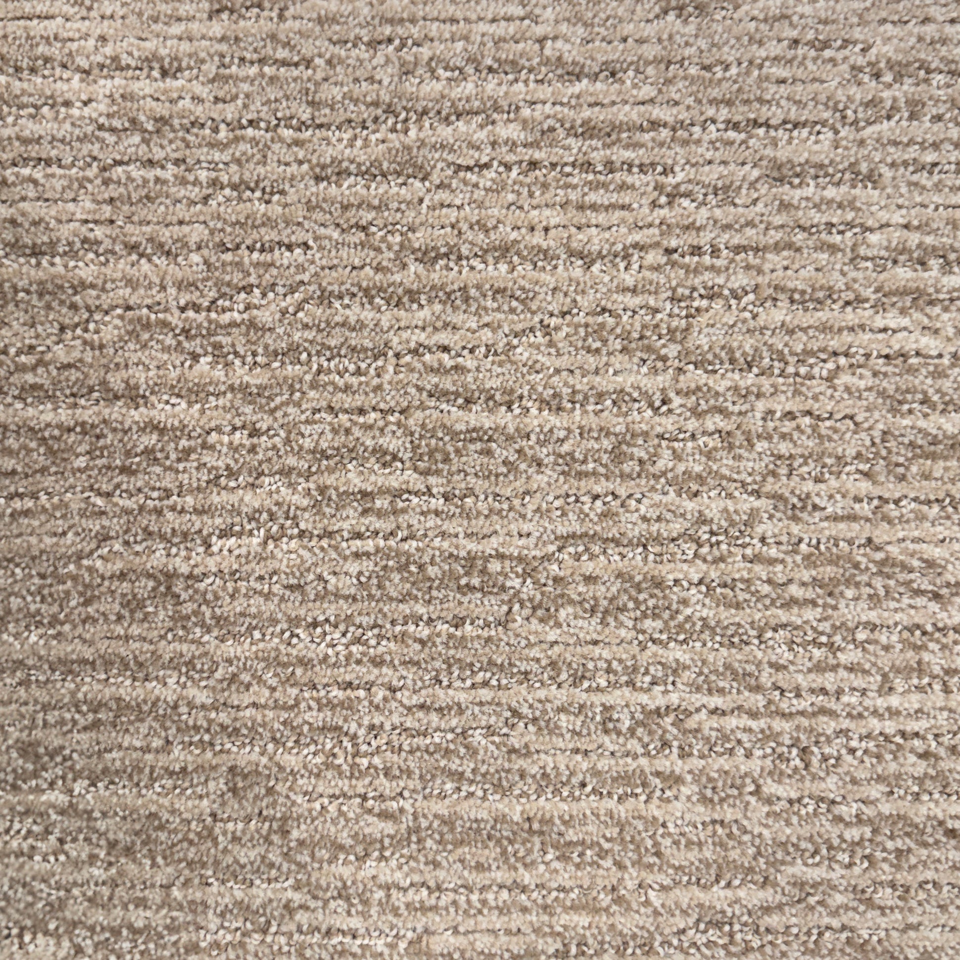 Buckwold  - Linear Path Collection