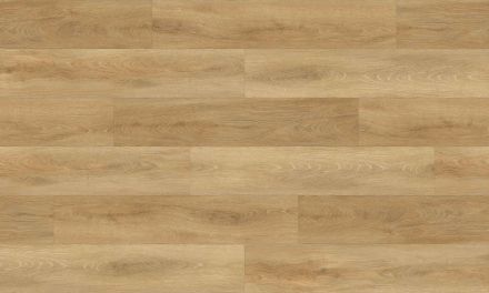 Fuzion - Dynamix XL 3DGE Collection