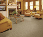 Buckwold  - Linear Path Collection