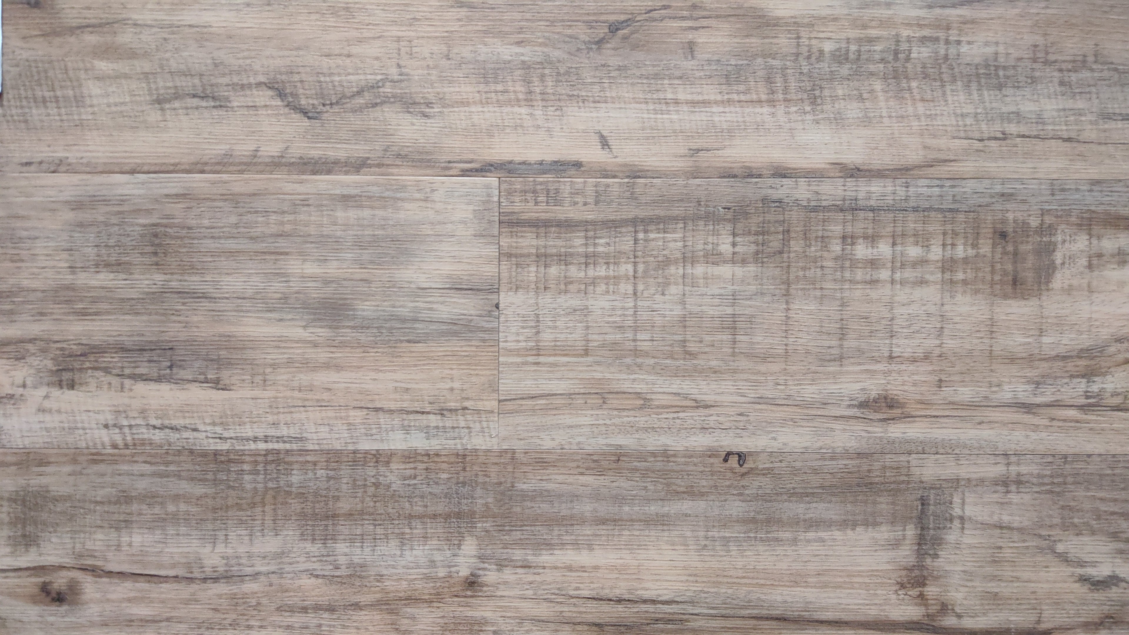 Goodfellow - Sparrow Hawk